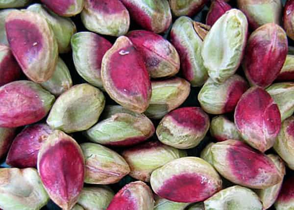 تصویر 3 از قیمت مغز پسته گندمی با کیفیت ارزان + خرید عمده